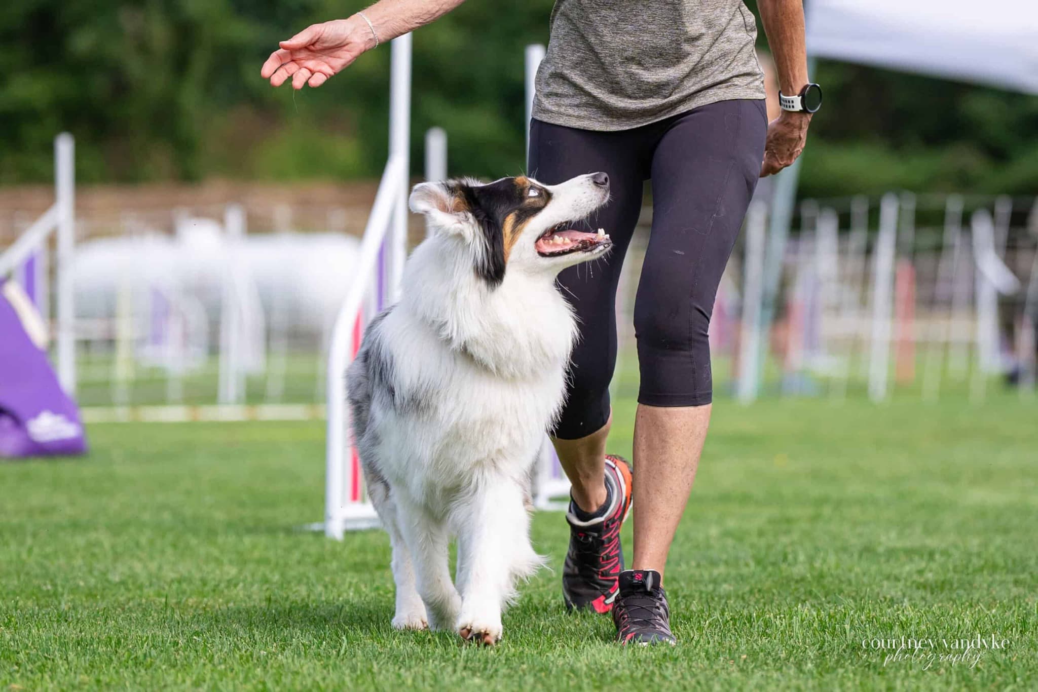 Agility Evaluation - 15 min