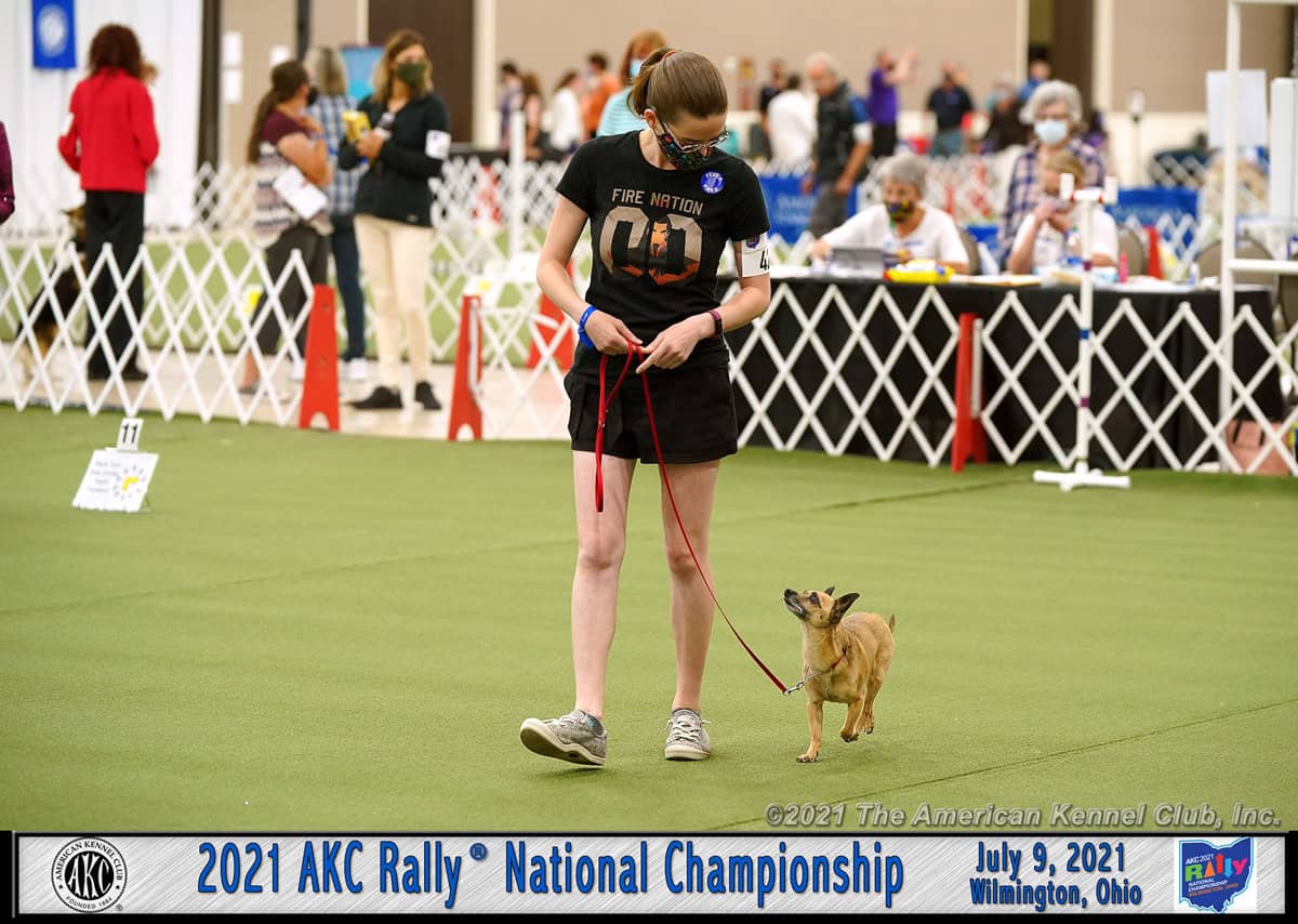 Novice and Intermediate/Advanced Rally