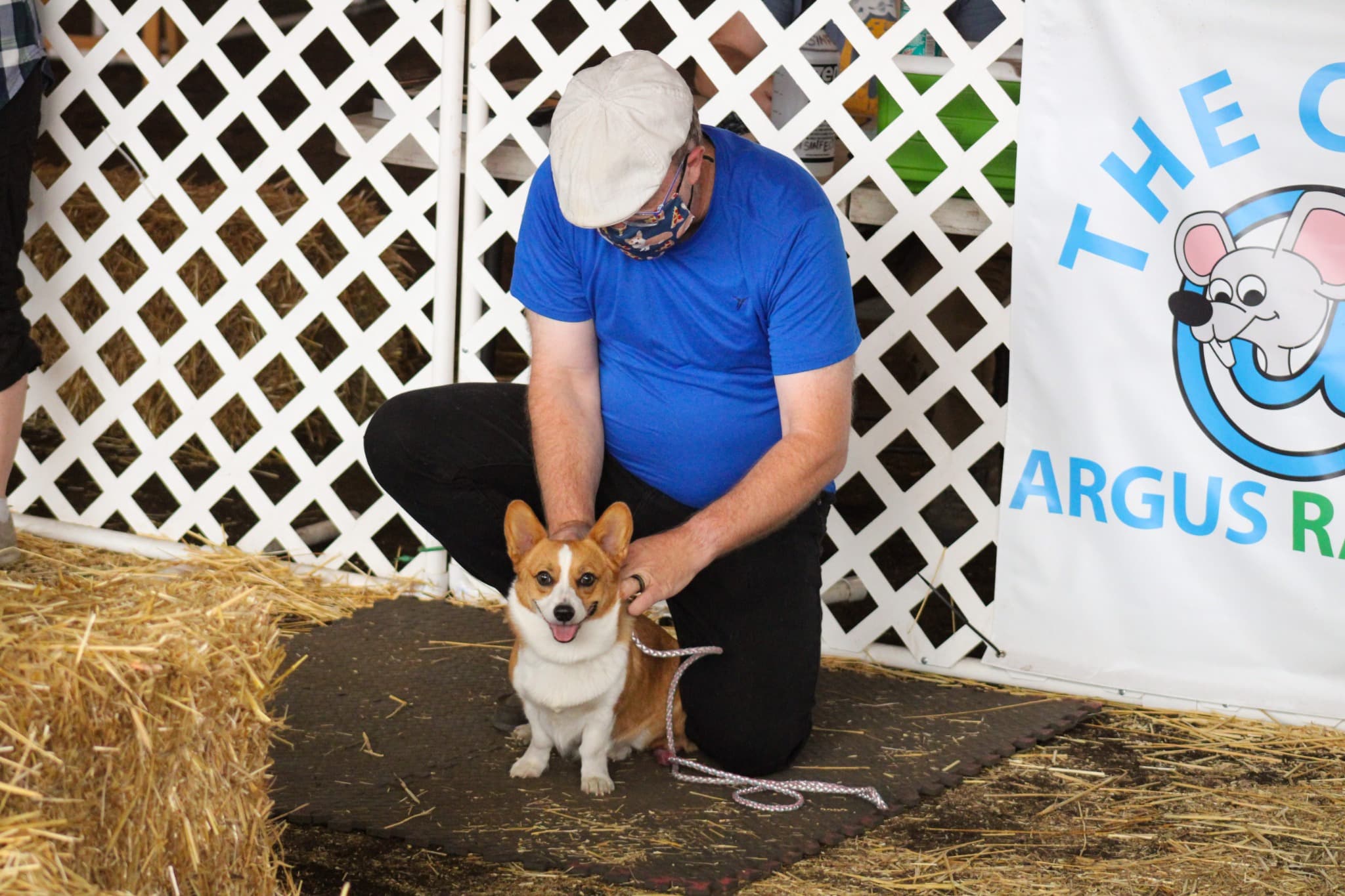 Barn Hunt Beginner Competition β Start the hunt