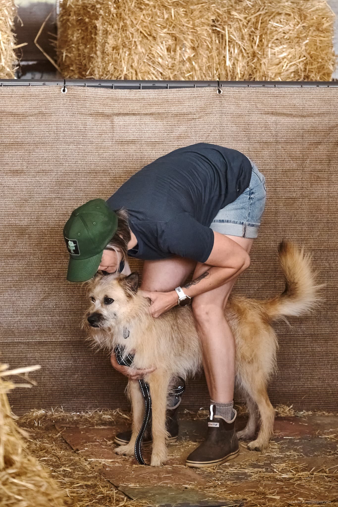 Barn Hunt - Senior Level