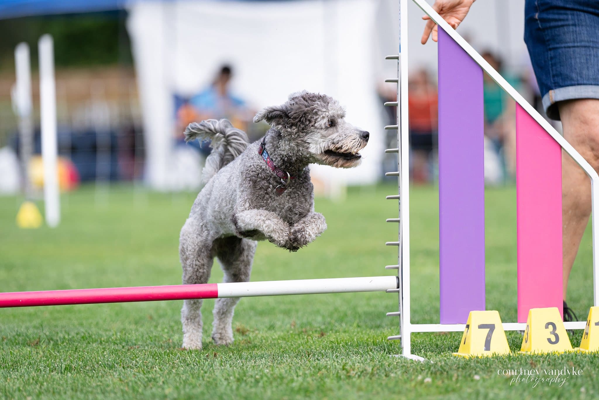 Private Agility Lesson