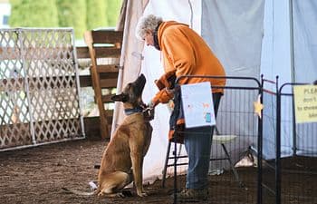 handler and dog in blind