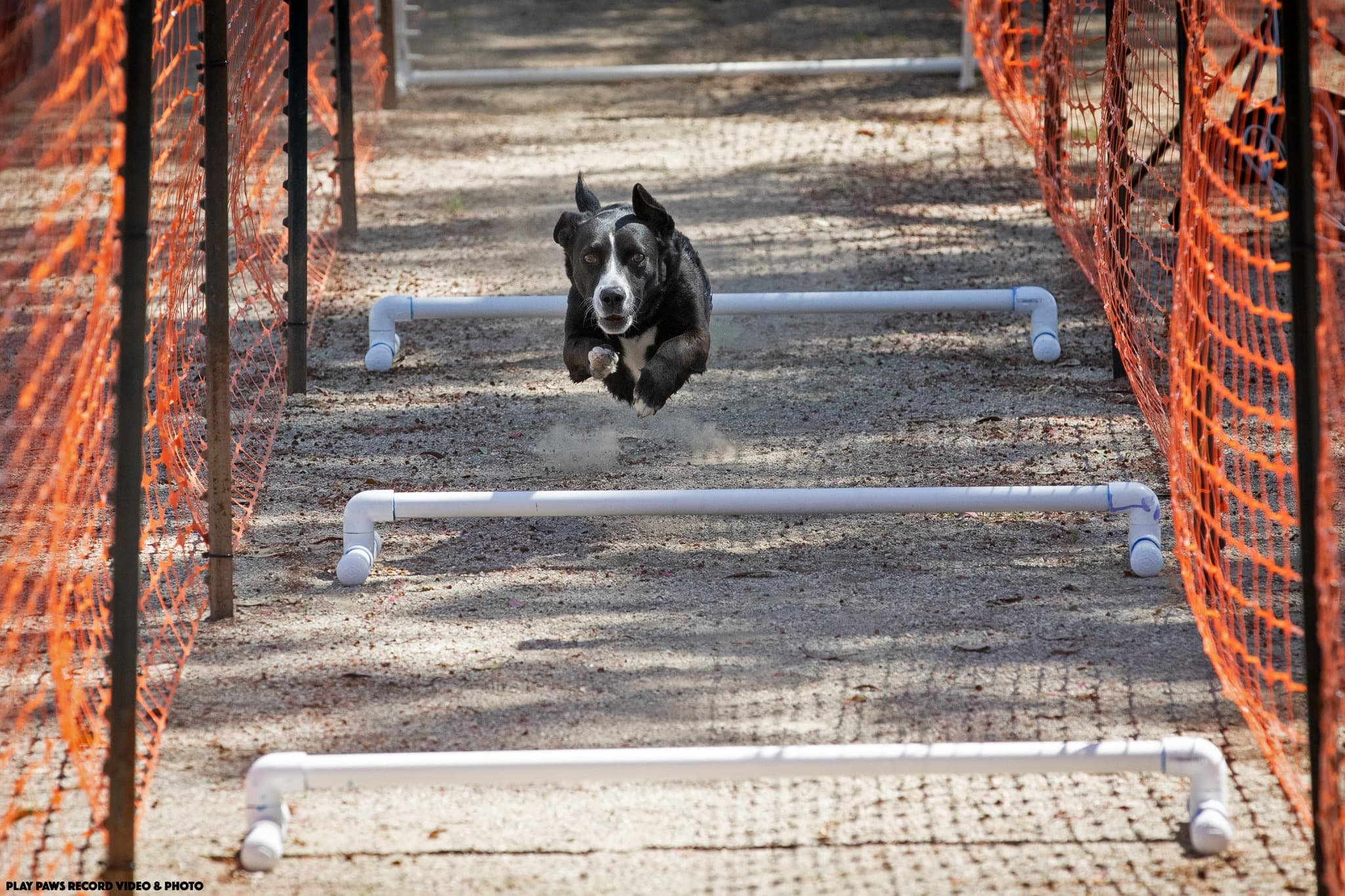 Monroe Barn Hunt Hurdles